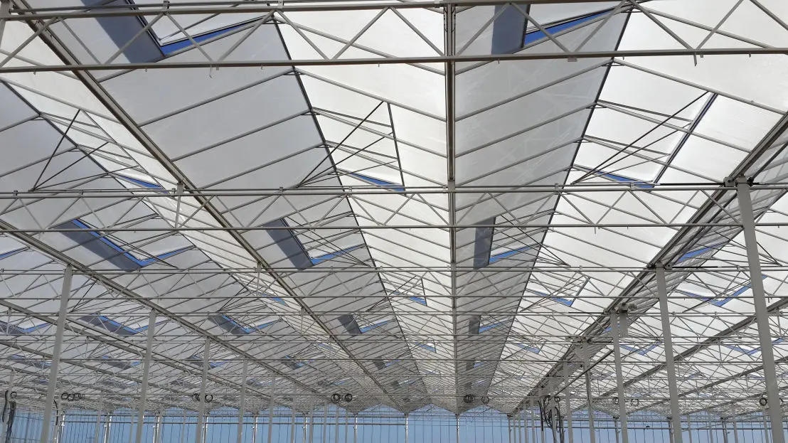 Sera Konstrüksiyonu