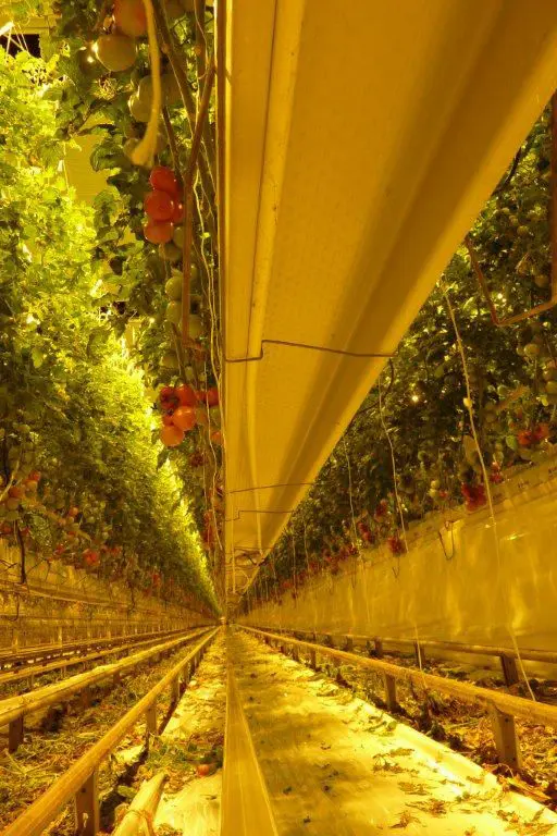 Suni Aydınlatma Sistemleri