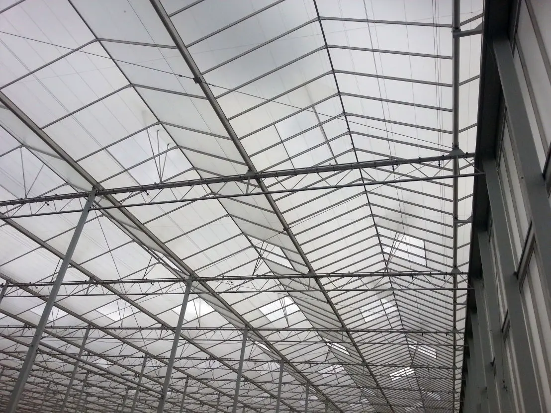 Sera Konstrüksiyonu