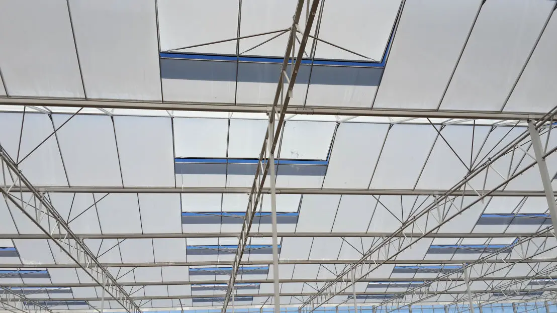 Sera Konstrüksiyonu