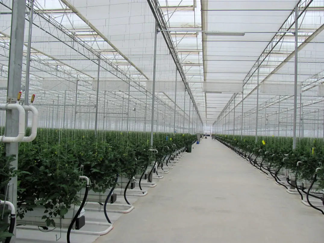 Isı ve Gölgeleme Perde Sistemleri