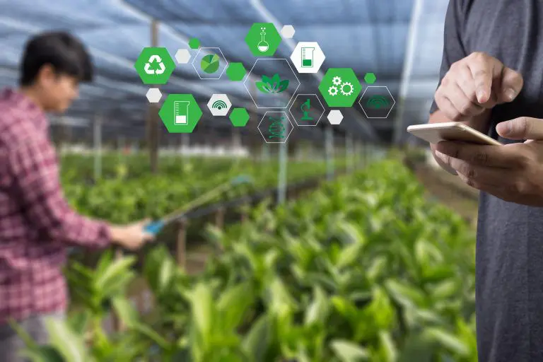 Sistemlerin Devreye Alınması