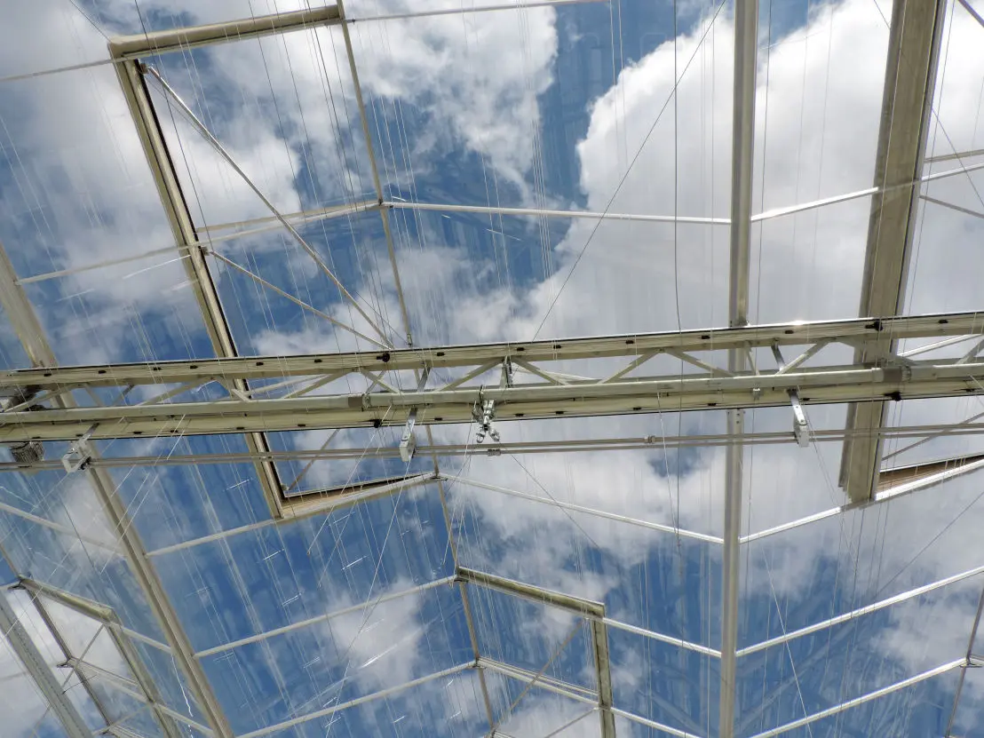 Sera Konstrüksiyonu