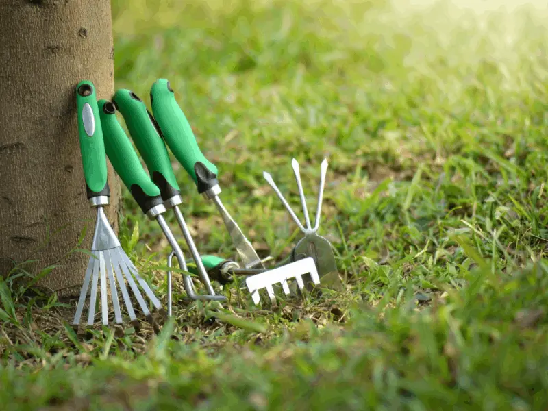 Bitki Hasat ve İşçilik Araçları